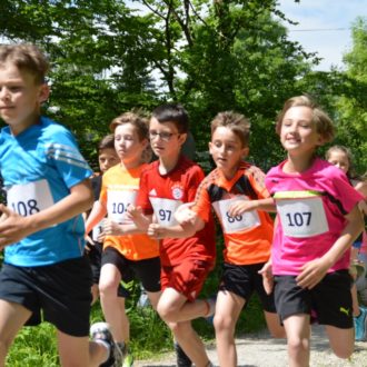 Ortsmeisterschaften Waldlauf und Nordic Walking – Ergebnisse Ortsmeisterschaften Waldlauf und Nordic Walking – Ergebnisse