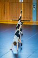 013_Ayumi-Neutraubling