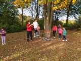 IMG-20191013-WA0041