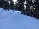 TVW Langlauf 06