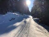 TVW Langlauf 07