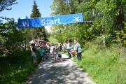 2019-OM-Waldlauf-NW002