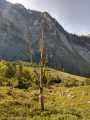IMG-20190914-WA0024