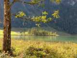 IMG-20190914-WA0025