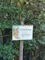IMG-20190915-WA0016